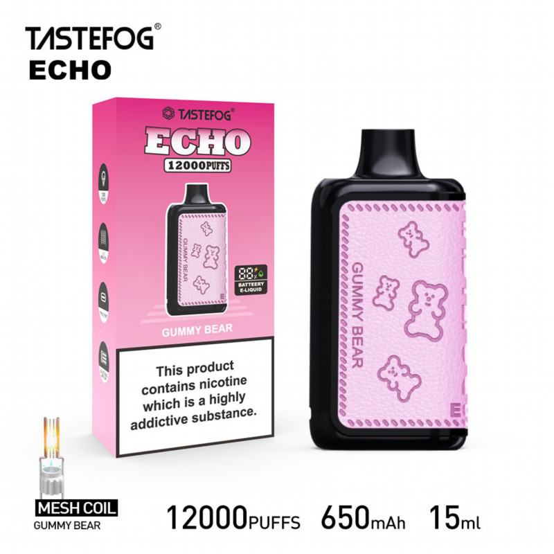 RandM Disposable Vape Brands Echo 12000 Puffs