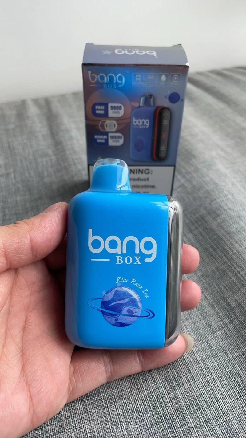 no Disposable Vapes Geek Price