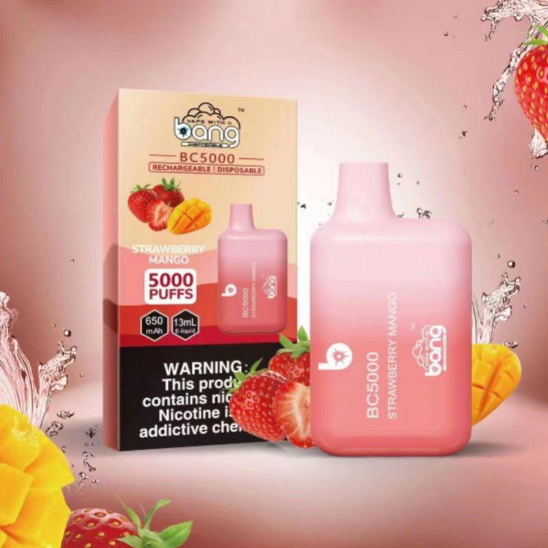 Bang Pens Bc 5000 2000 Puffs Hits Vape Puffs