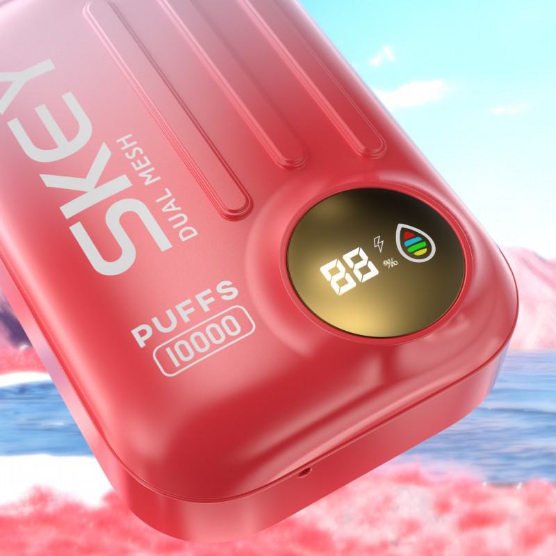  Disposable Vape Bar Skey Ismart