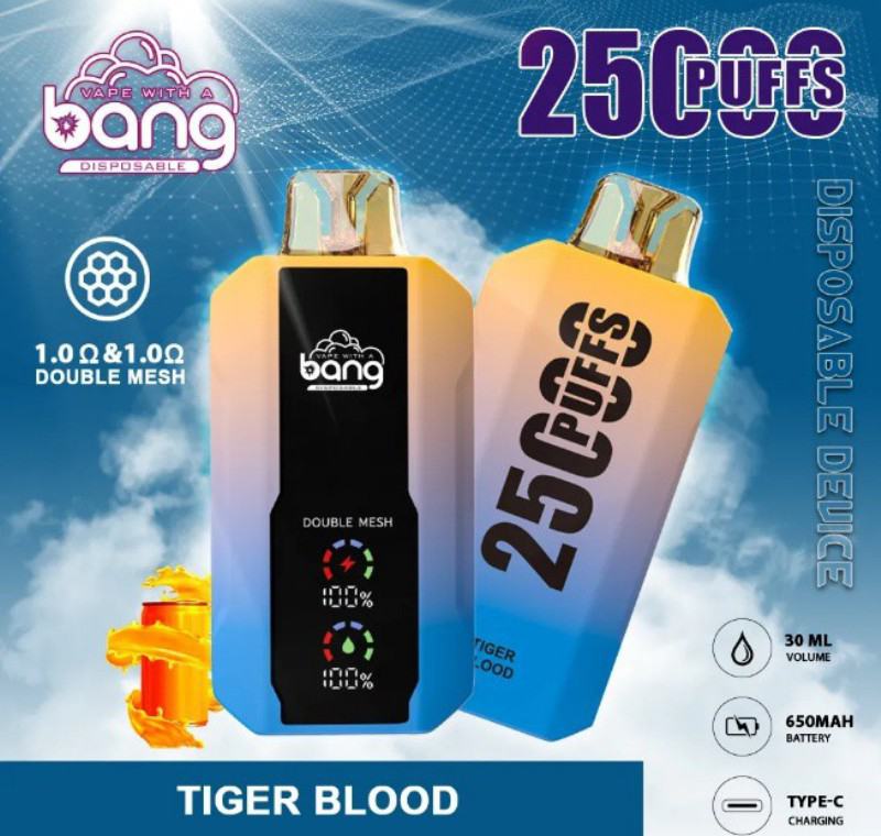 Puff Bang Disposable E-cigarette