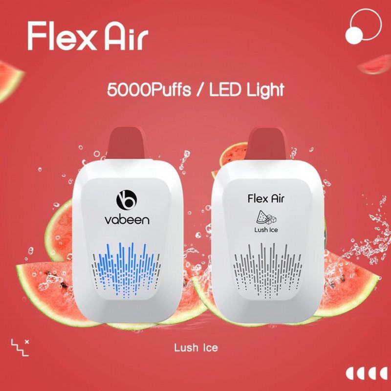 Baish Vabeen Flex Air 5000 Vape Disposables