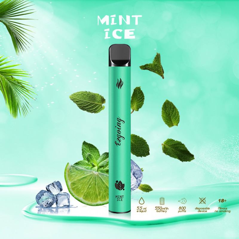 Ezgoing Ezgoing-800 About 800 Puffs Vapes