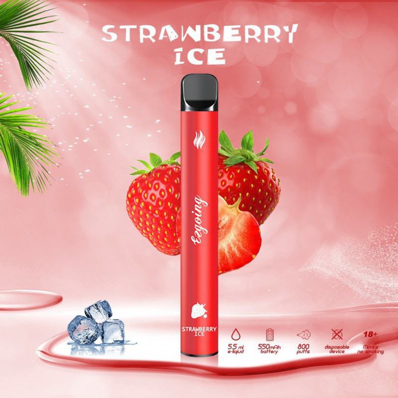 Ezgoing Ezgoing-800 About 800 Puffs Vapes