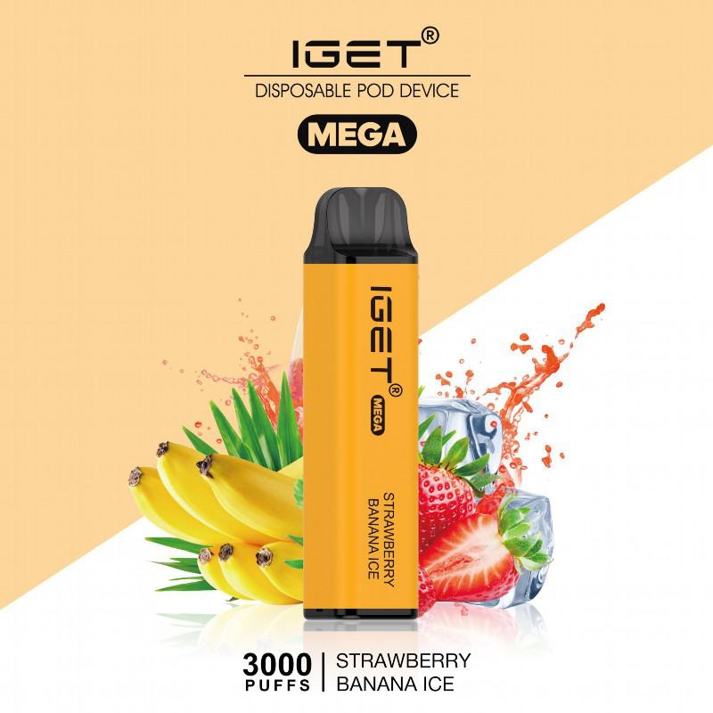 Vape Bars Iget Mega 3000 Puffs