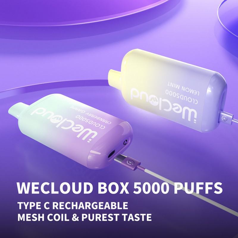 Big Puff Pens Plus Pairyosi Wecloud Py5000 Vape