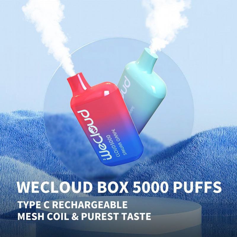 Big Puff Pens Plus Pairyosi Wecloud Py5000 Vape