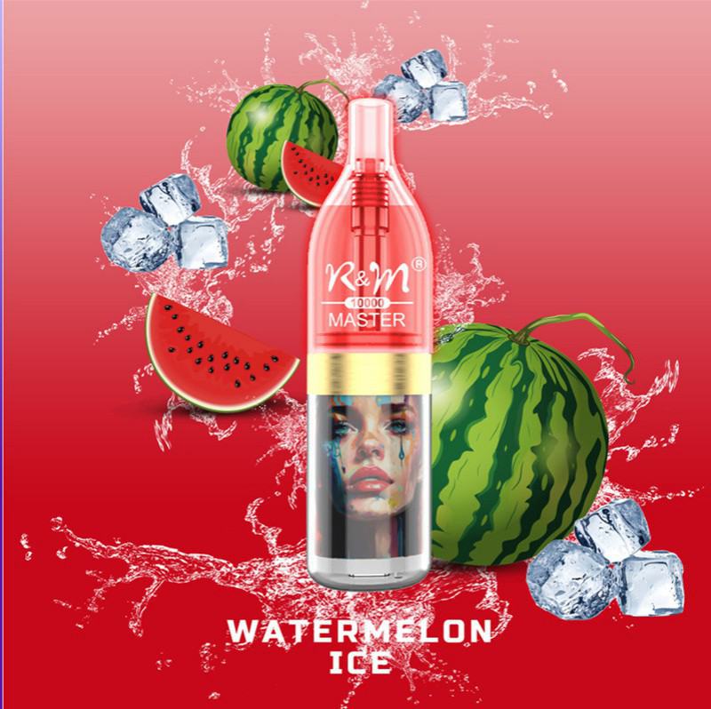 Disposable Vape Volestech R&m Master 10000 Puffs Brands