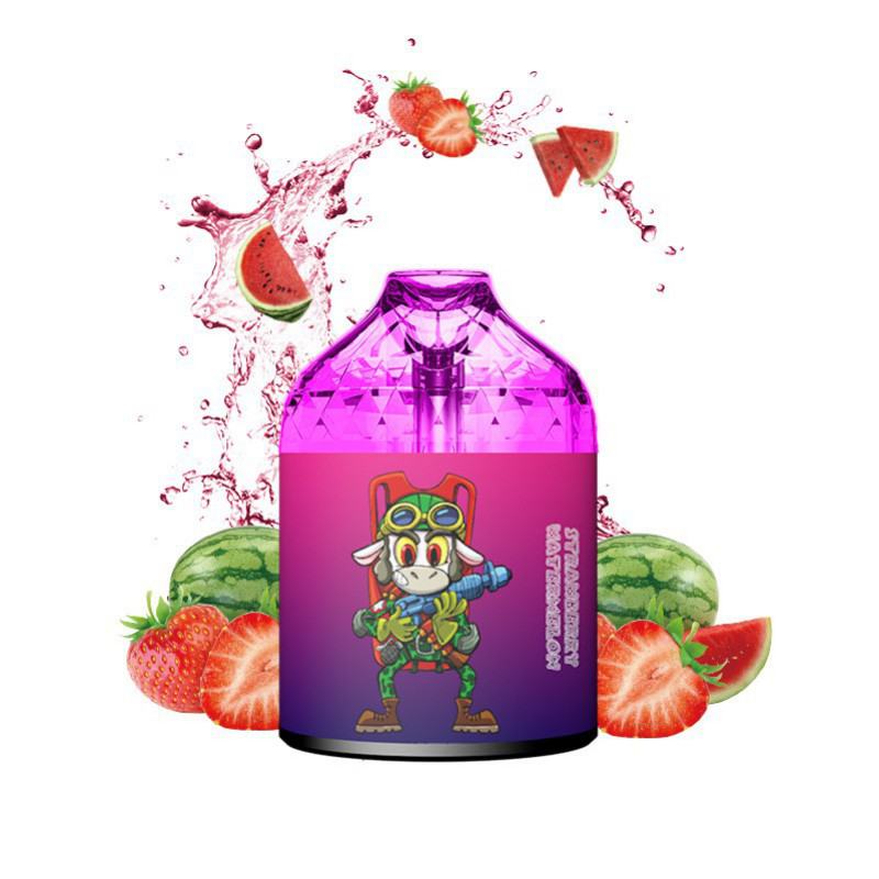 R & M R&m 9000 Puffs Disposable Big Hit Vape