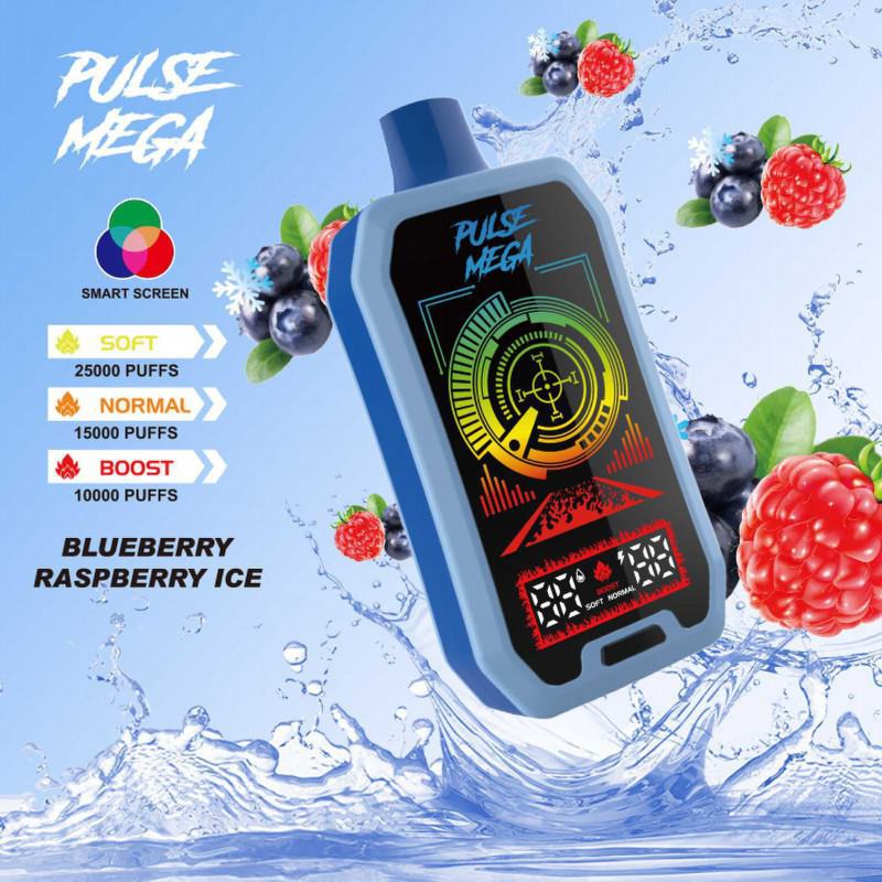 Big Puff Pens Plus GALE Pulse Mega 25k Vape