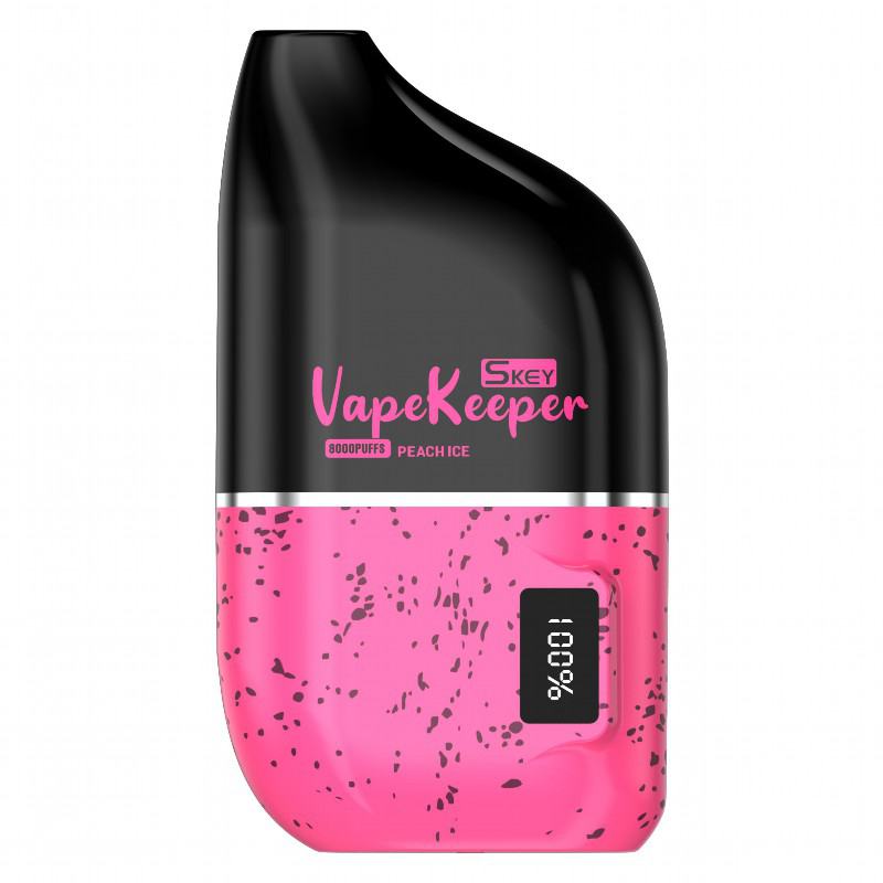 Disposable Vape Brands SKEY Skey Keeper 8000 Puffs