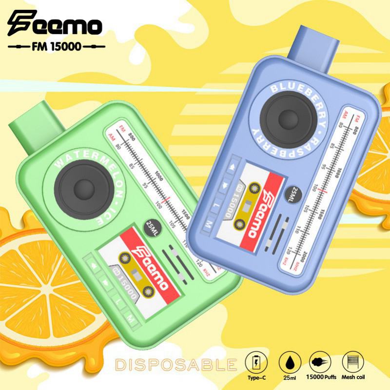 Disposable Support OEM Fm15000 15k Puffs Vape Pen