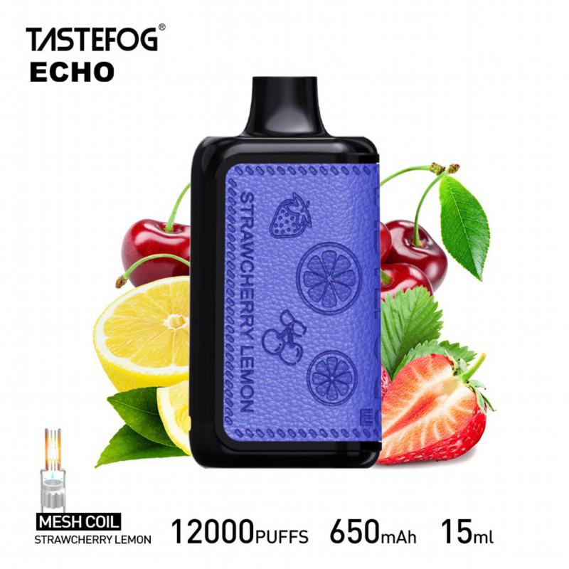 Insta Fastefog Echo 12000 7500 Puffs Cheap