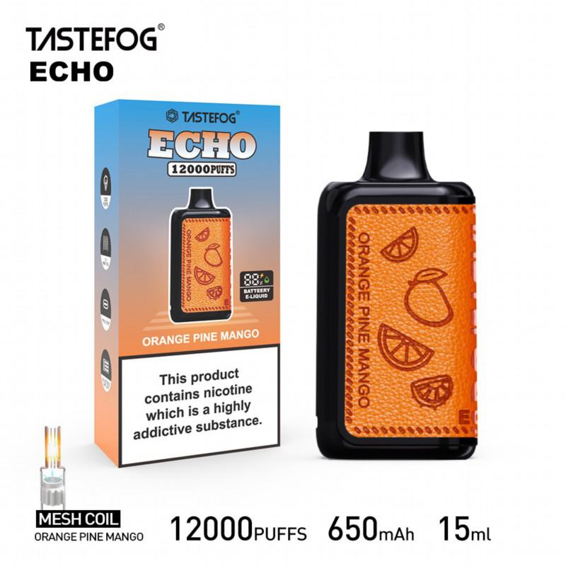 Insta Fastefog Echo 12000 7500 Puffs Cheap