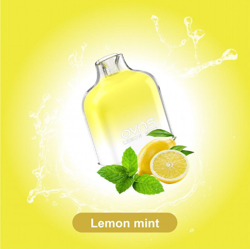 Disposable OVNS Vape 650 12000 Puffs Pens