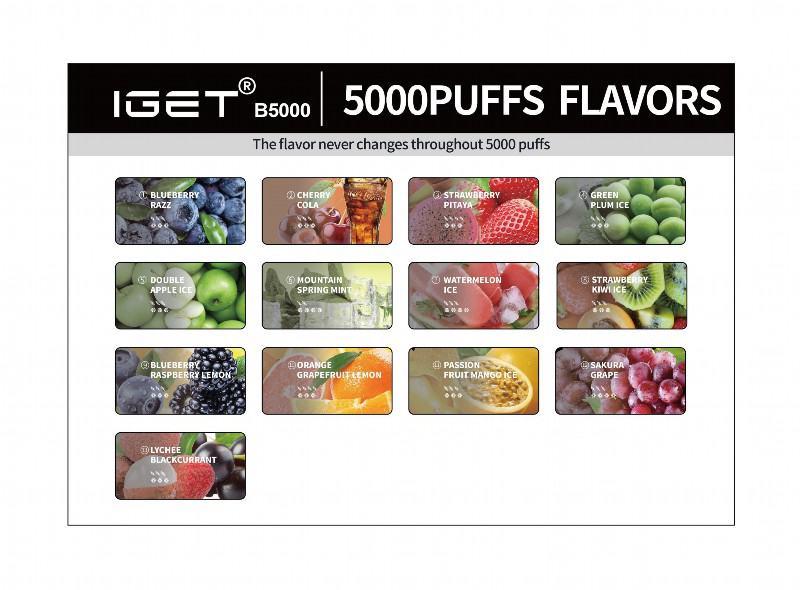 Iget Vape B 5000 Puffs Nederland