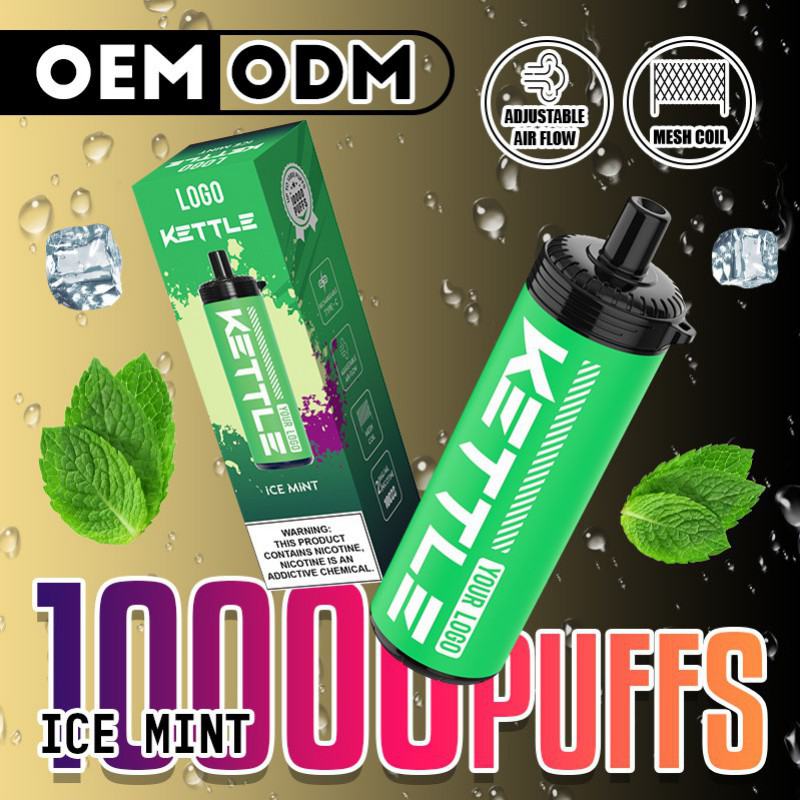 Your Logo Pen Kettle 10000 Puffs Hits Vape Puffs