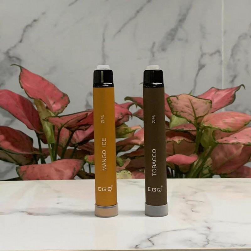 Disposable EGQ L58y 600 Puffs Vape Pens