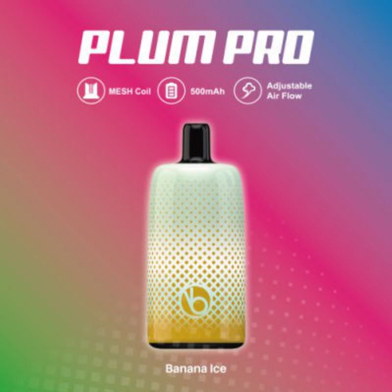 VABEEN Vabeen Plum Pro 7000 Puffs Hits Vape