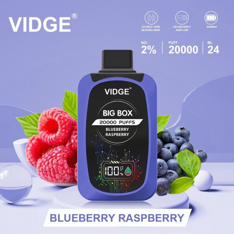 OEM Big Puff Pen Plus