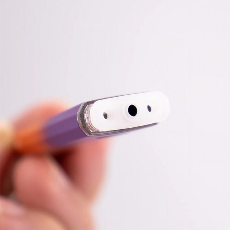 Disposable Pairyosi Wecloud (OEM) Py300 Vapes