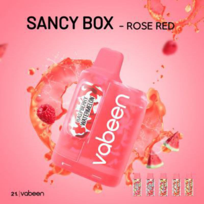 VABEEN Vabeen Sancy Box Kit 4000 Puffs Vapes