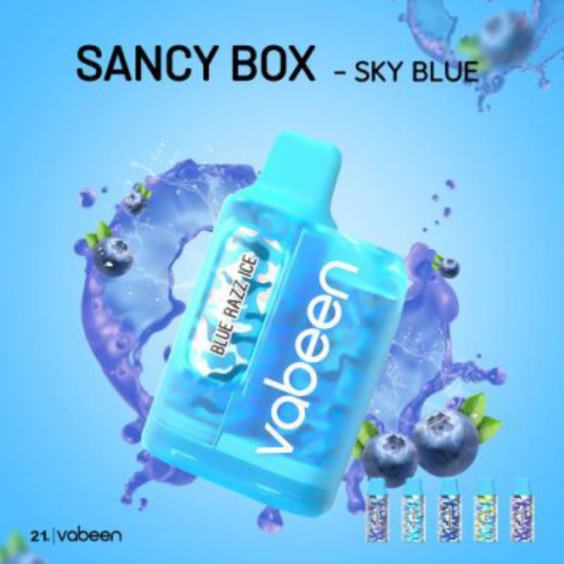 VABEEN Vabeen Sancy Box Kit 4000 Puffs Vapes