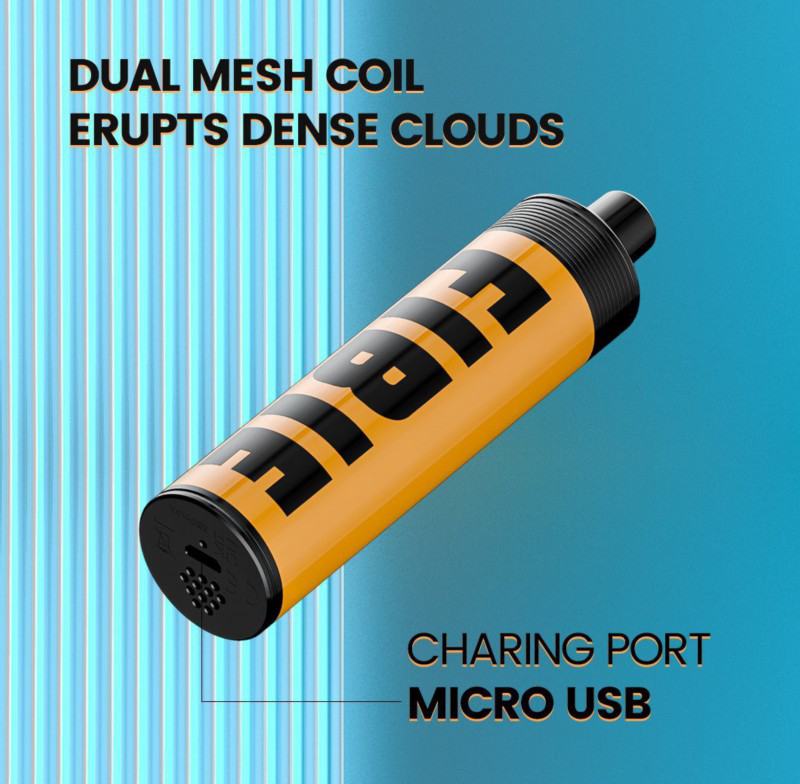 FIBIE Disposable Vape Pen Fibie Max 4000