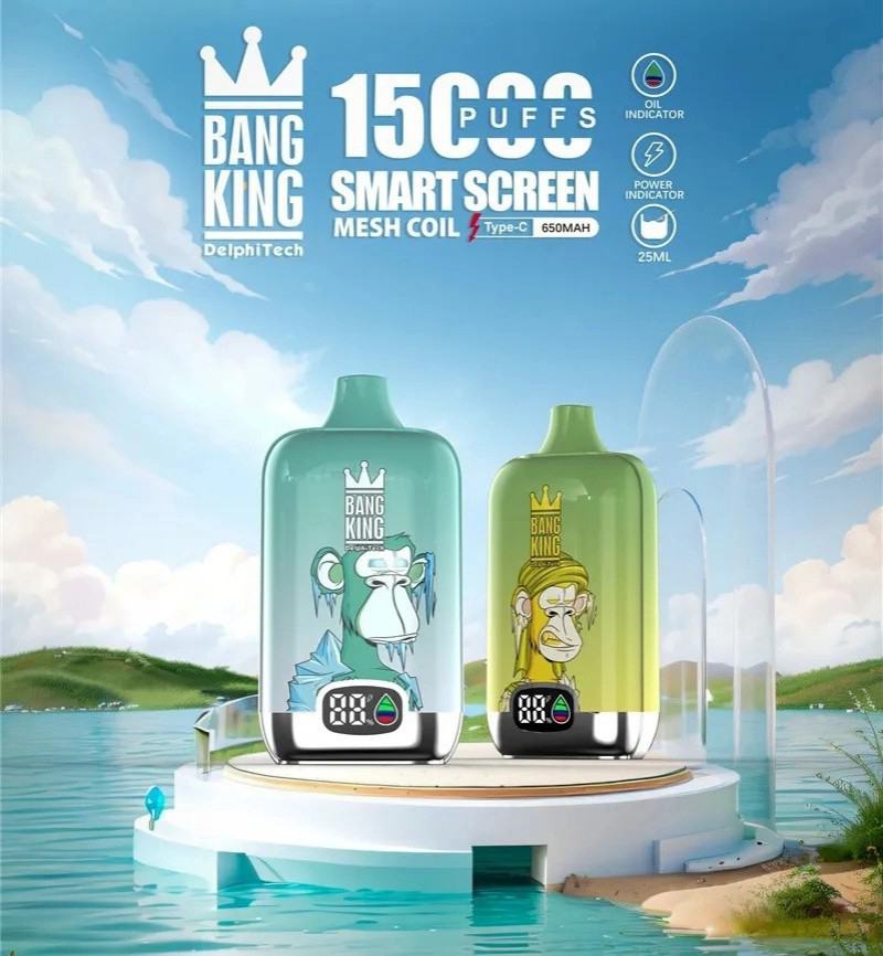 Bang Smart Screen Ouffs 15000 Puffs Box