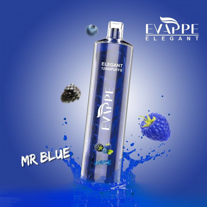 Disposable Vape Brands Evappe Evappe Elegant 12000 Puffs