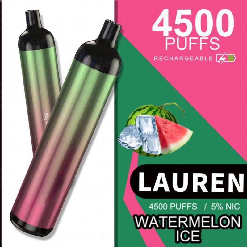 customize Disposable Vape Lrec07 4500 Puffs