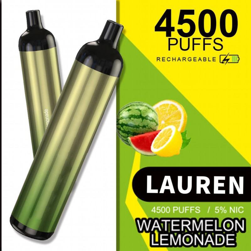 customize Disposable Vape Lrec07 4500 Puffs