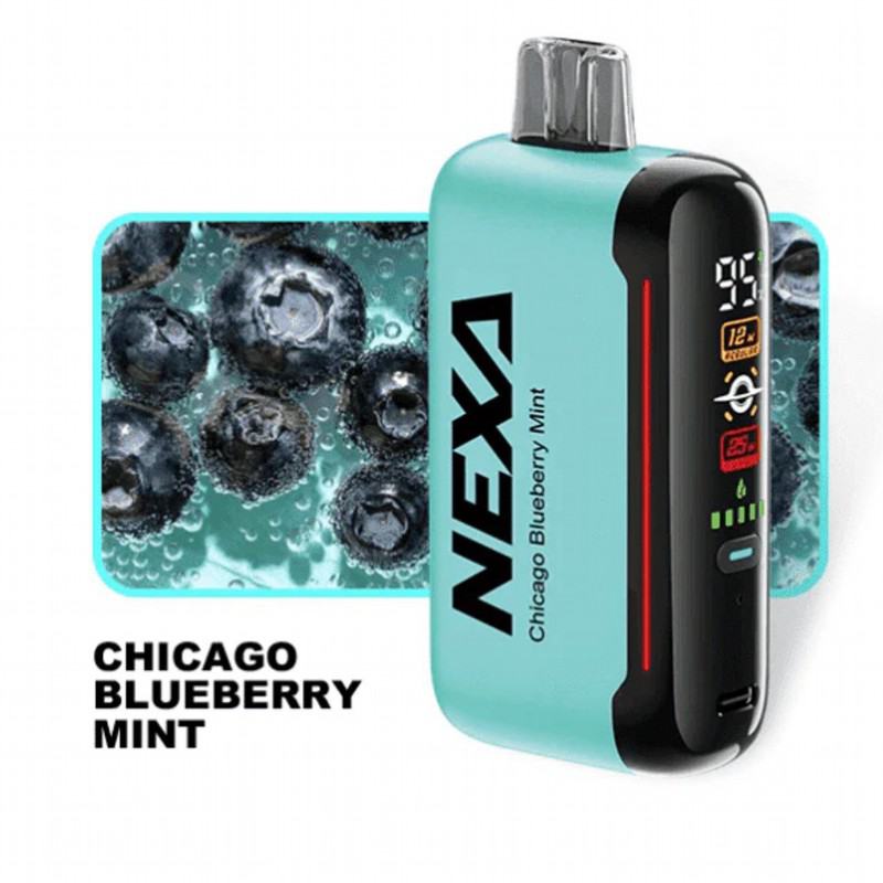 Ijoy Big Puff Bars Plus