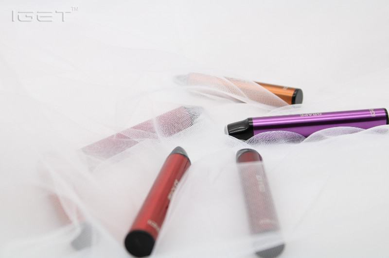 Big Puff Bar Plus Iget Shion 600 Puffs Vape