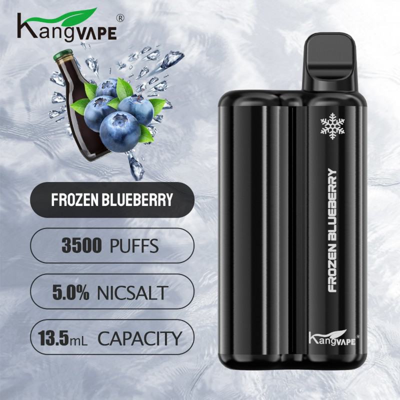Kang 3500 Vape Big Puff Pen Plus