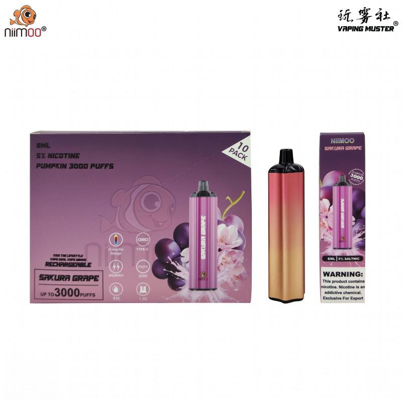 Vapes Niimoo Ndpumpkin 3000 Puffs