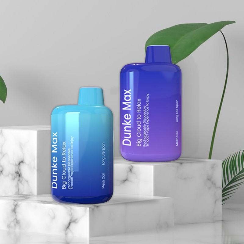 Disposable Vape Dunke E10 Brands