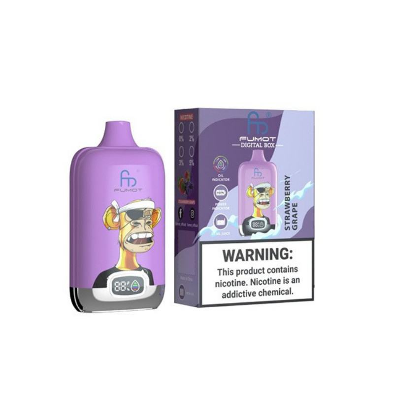 RANDM Digital Box 12k 12000 Puffs Pens