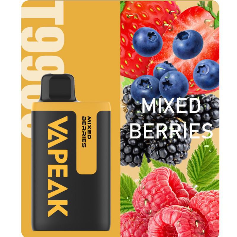 Disposable Vape Pens OVNS Technology Co., Ltd Vpeak 9900