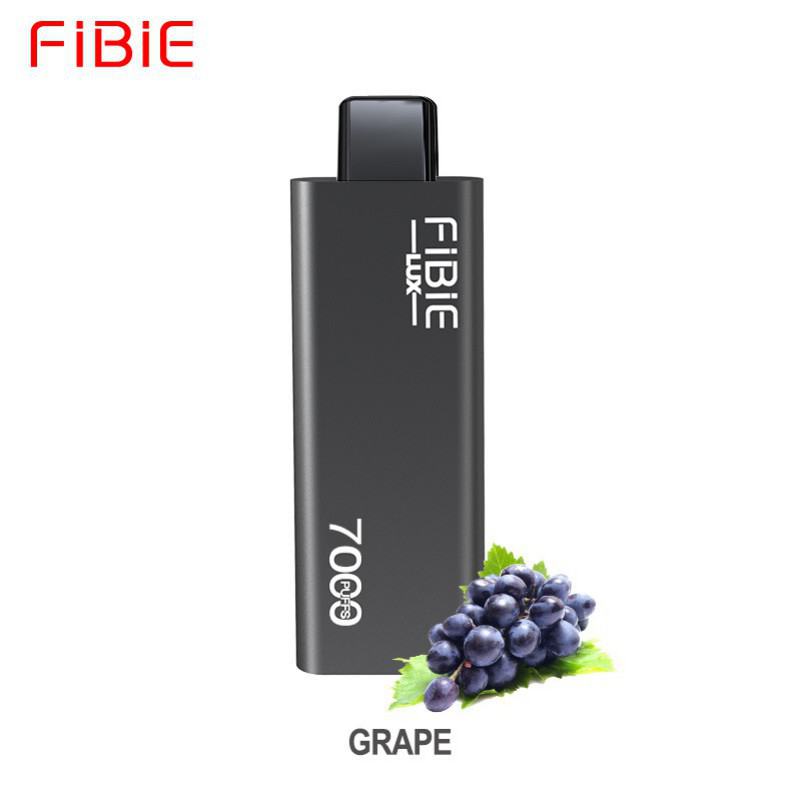 Disposable FIBIE Vape Fibie Lux 7000 Puffs Brands