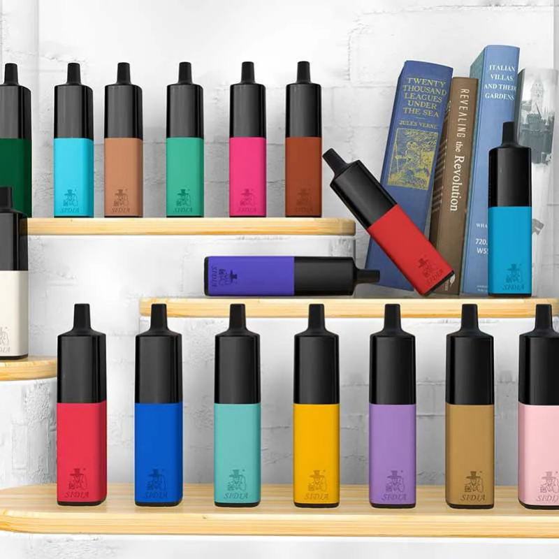 Baish Pen Sidia Leather 6000