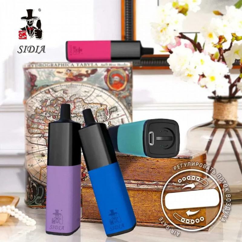 Baish Pen Sidia Leather 6000