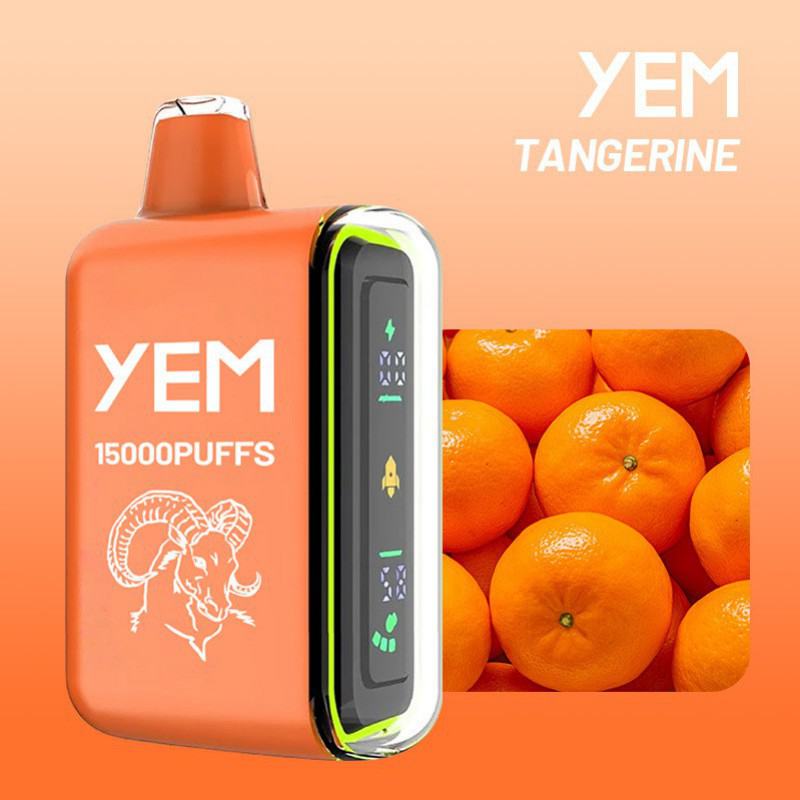 Disposable Iplay Td15-55 15000 Puffs Vape Brands