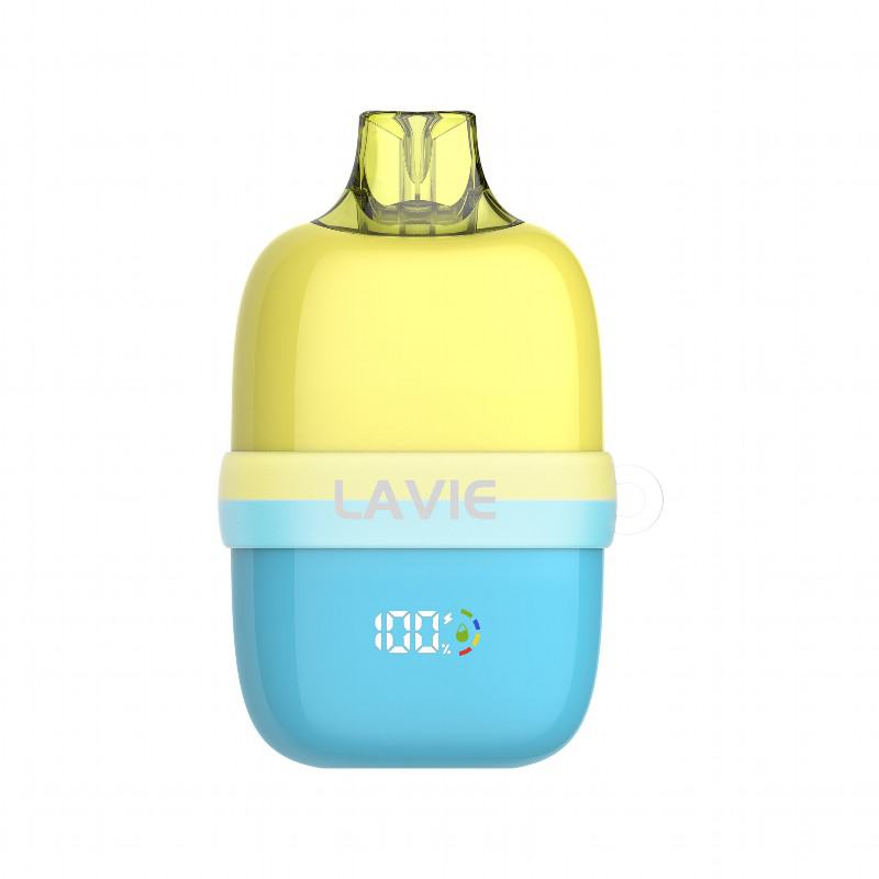 Lavis s 12000 Puffs Brands Disposable Vape