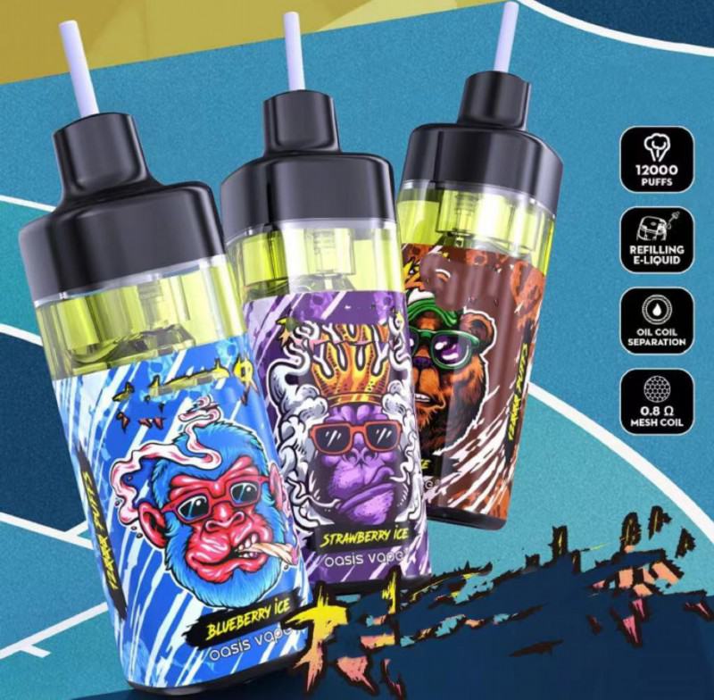 Vapsolo Razz 12000 Vape Rechargeable