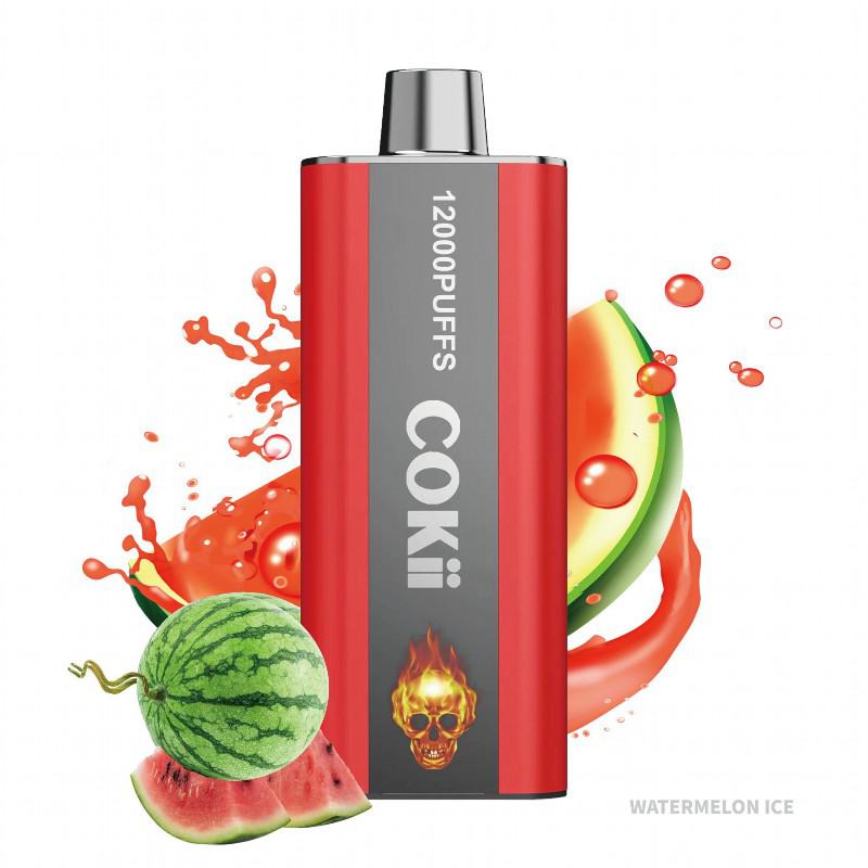 Cokii Disposable Vape Brands Cokii 12000 6000 Puffs