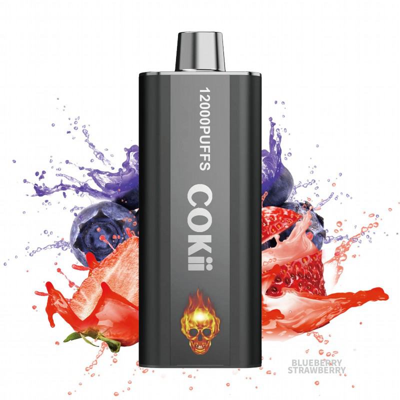Cokii Disposable Vape Brands Cokii 12000 6000 Puffs