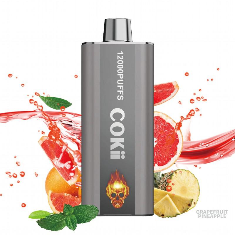 Cokii Disposable Vape Brands Cokii 12000 6000 Puffs
