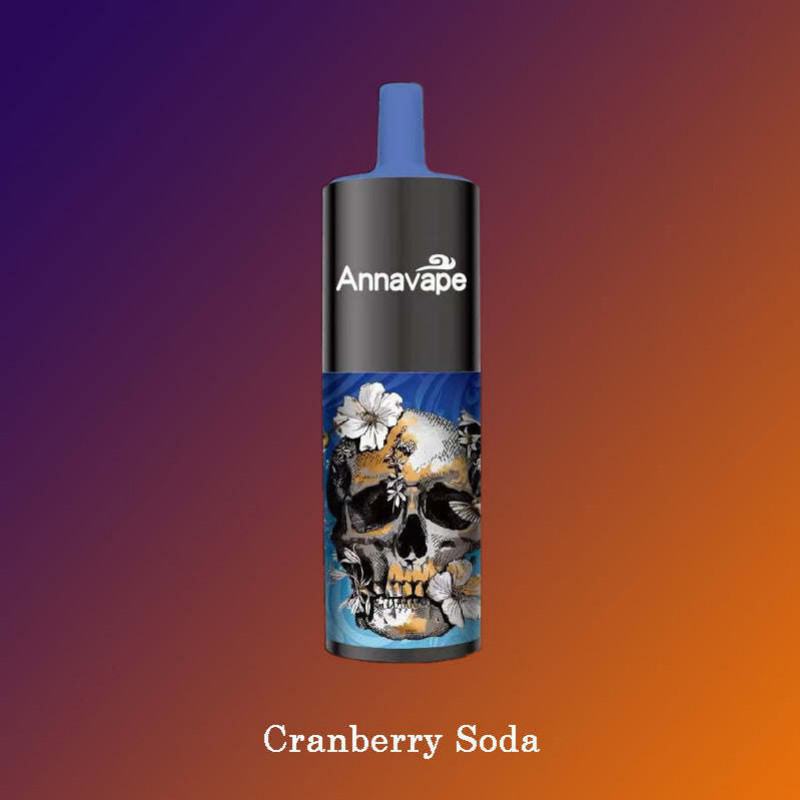 Baish Big Puff Pens Plus