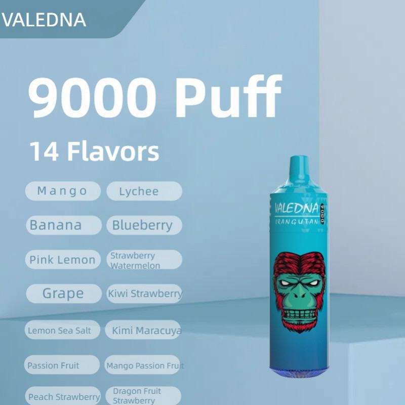 VALEDNA 055 9000 Puffs Pen